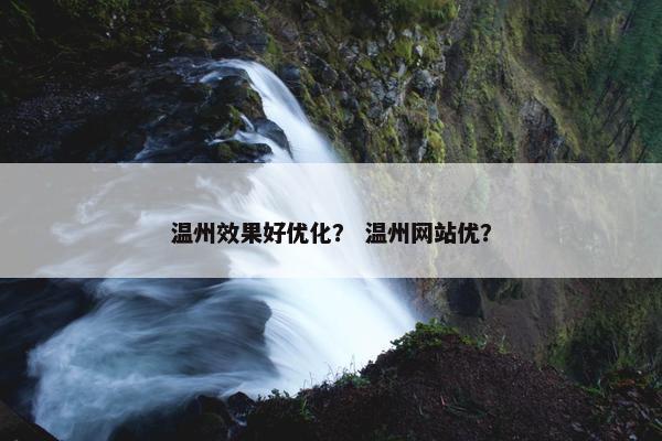 温州效果好优化？ 温州网站优？