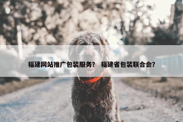 福建网站推广包装服务？ 福建省包装联合会？