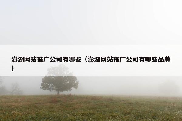 澎湖网站推广公司有哪些（澎湖网站推广公司有哪些品牌）