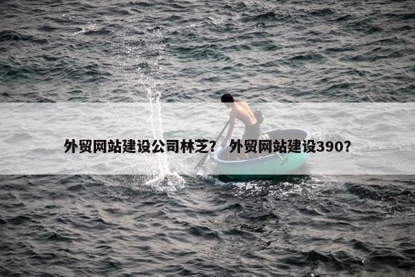 外贸网站建设公司林芝？ 外贸网站建设390？