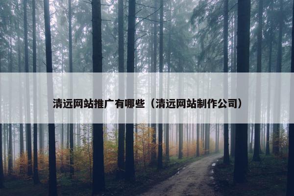 清远网站推广有哪些（清远网站制作公司）