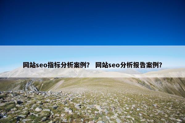 网站seo指标分析案例？ 网站seo分析报告案例？