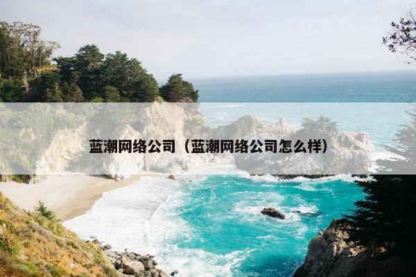 蓝潮网络公司（蓝潮网络公司怎么样）