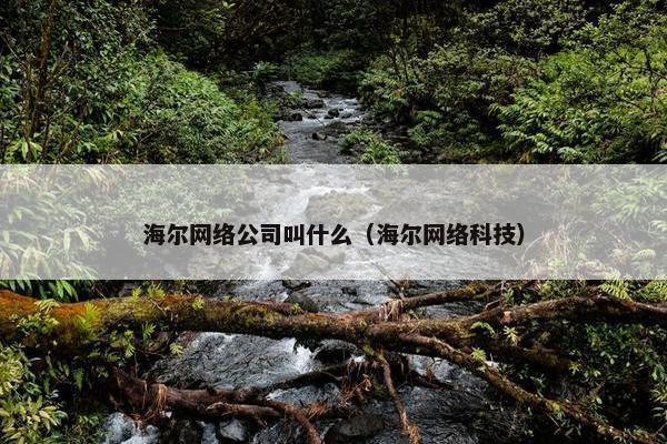 海尔网络公司叫什么（海尔网络科技）