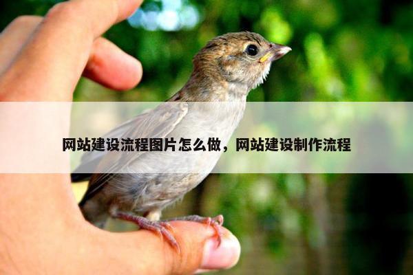 网站建设流程图片怎么做，网站建设制作流程