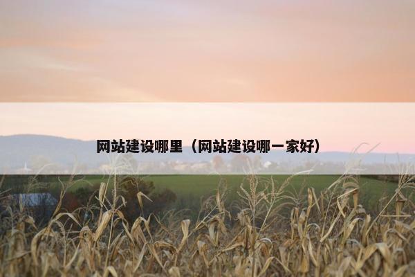 网站建设哪里（网站建设哪一家好）