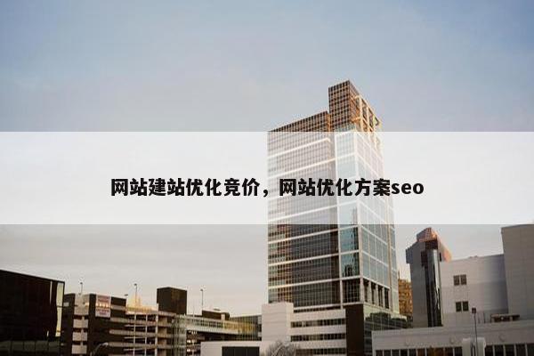 网站建站优化竞价，网站优化方案seo