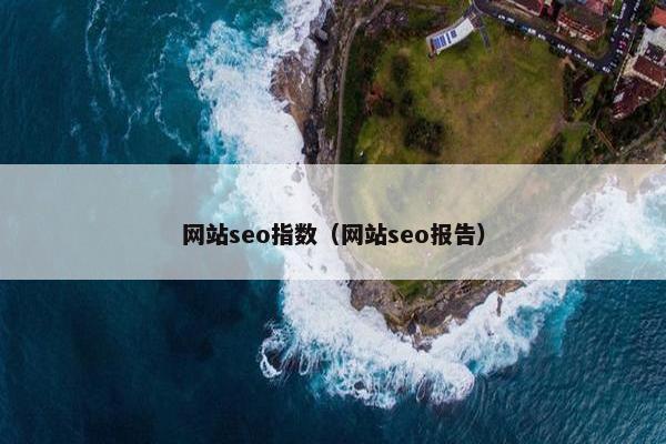 网站seo指数（网站seo报告）