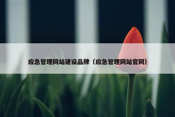 应急管理网站建设品牌（应急管理网站官网）