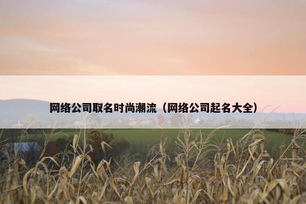 网络公司取名时尚潮流（网络公司起名大全）