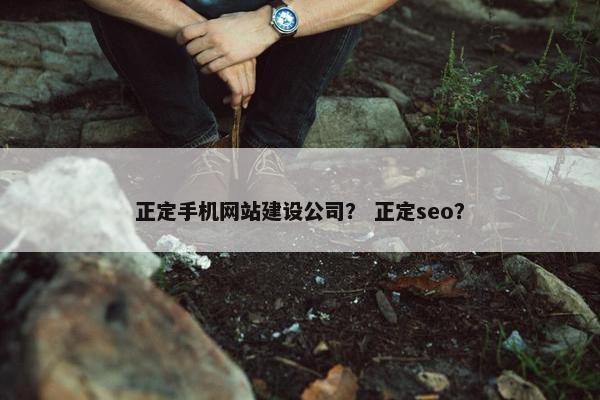 正定手机网站建设公司？ 正定seo？