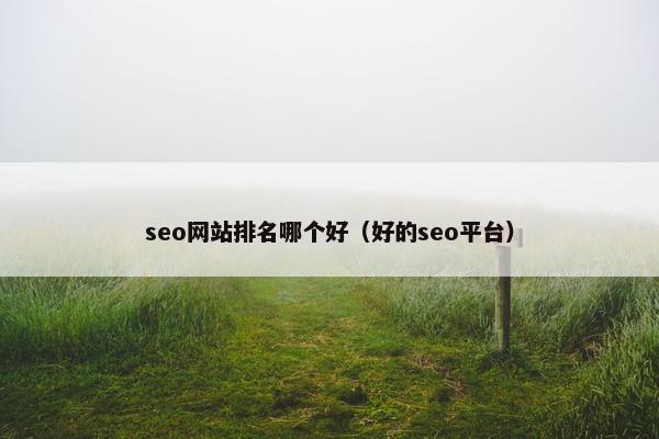 seo网站排名哪个好（好的seo平台）