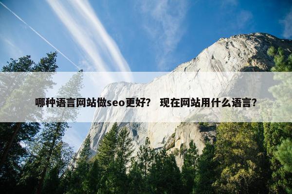 哪种语言网站做seo更好？ 现在网站用什么语言？