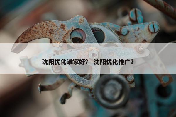 沈阳优化谁家好？ 沈阳优化推广？