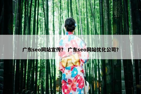 广东seo网站宣传？ 广东seo网站优化公司？