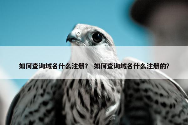 如何查询域名什么注册？ 如何查询域名什么注册的？