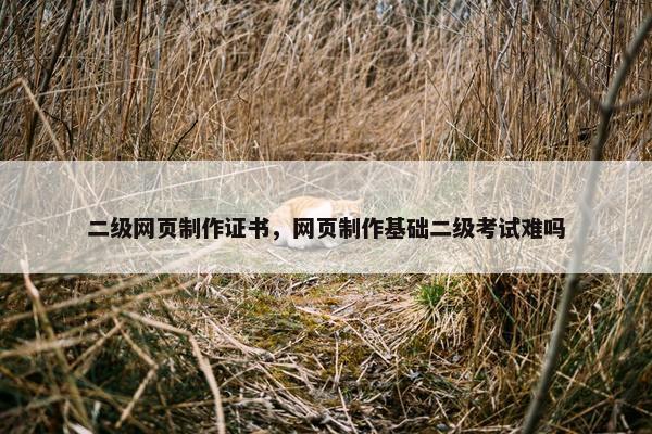 二级网页制作证书，网页制作基础二级考试难吗