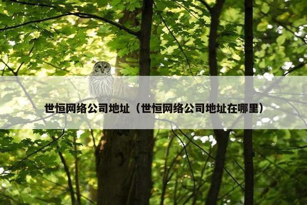 世恒网络公司地址（世恒网络公司地址在哪里）