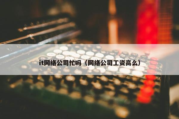 it网络公司忙吗（网络公司工资高么）