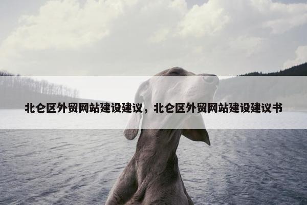 北仑区外贸网站建设建议，北仑区外贸网站建设建议书