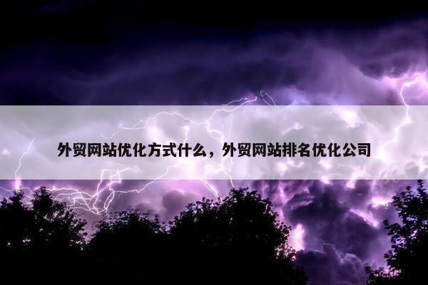 外贸网站优化方式什么，外贸网站排名优化公司