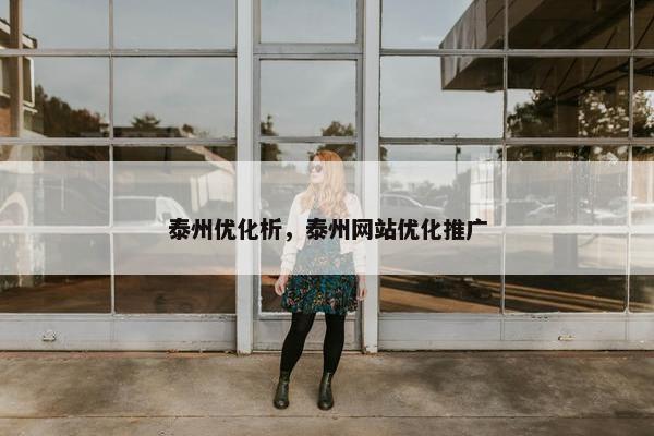 泰州优化析，泰州网站优化推广