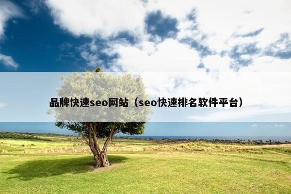 品牌快速seo网站（seo快速排名软件平台）