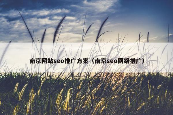 南京网站seo推广方案（南京seo网络推广）