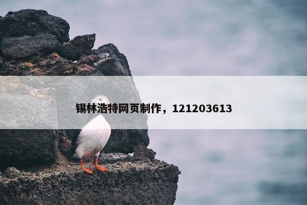 锡林浩特网页制作，121203613