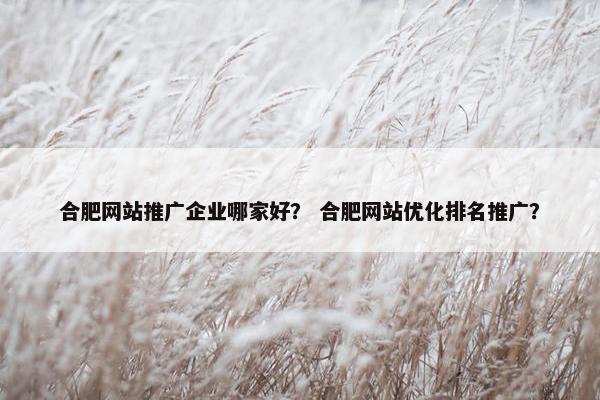 合肥网站推广企业哪家好？ 合肥网站优化排名推广？