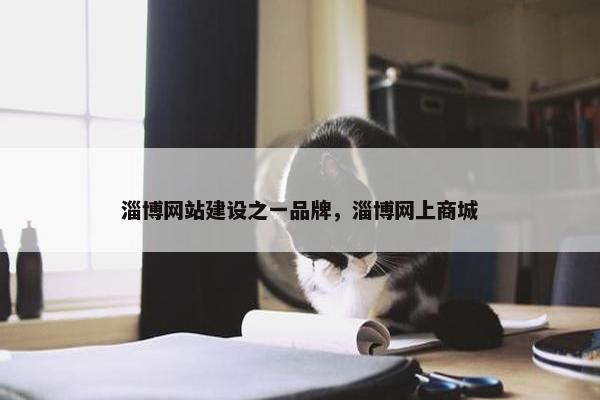 淄博网站建设之一品牌，淄博网上商城