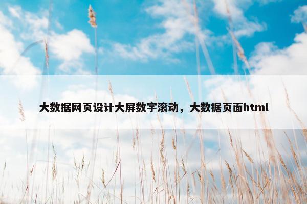 大数据网页设计大屏数字滚动，大数据页面html
