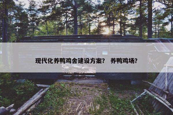 现代化养鸭鸡舍建设方案？ 养鸭鸡场？