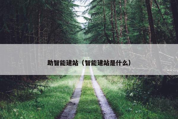 助智能建站（智能建站是什么）